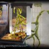 Animali Fantastici Creature Magiche Statua Bowtruckle 18 Cm Noble Collection