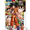 DRAGON BALL COMIC STRIP WOOD PRINT STAMPA SU LEGNO PYRAMID INTERNATIONAL