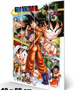 DRAGON BALL COMIC STRIP WOOD PRINT STAMPA SU LEGNO PYRAMID INTERNATIONAL