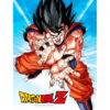 Dragon Ball Z Goku Kame Poster Di Vetro Sd Toys