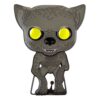 Harry Potter Pop! Enamel Spilla Remus Lupin 10 Cm Funko