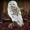 Harry Potter Statua Con Piedistallo Edvige Replica 24 Cm Noble Collection