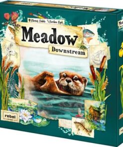 Meadow Downstream