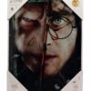 Sd Toys Harry Potter Half Face Harry&voldemort Poster di Vetro