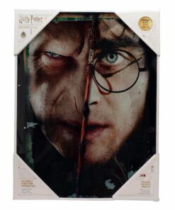 Sd Toys Harry Potter Half Face Harry&voldemort Poster di Vetro