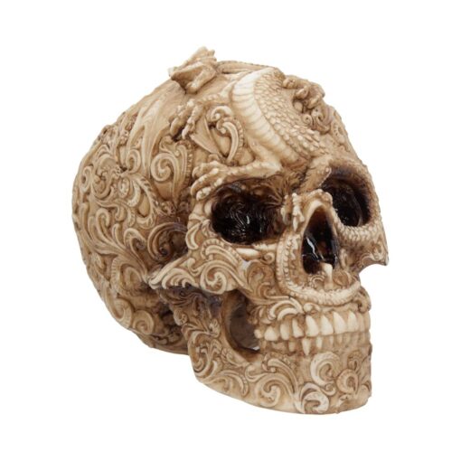 SKULL ORNAMENT CRANIAL DRAKOS STATUA NEMESIS NOW