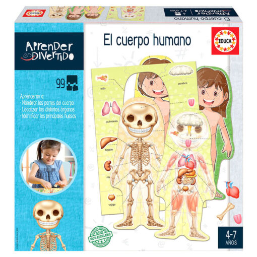 The Human Body Spagnolo Educa Borras