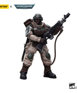 Warhammer 40k Action Figura 1/18 Astra Militarum Cadian Command Squad Veteran Con Regimental Standard 12 Cm Joy Toy (cn)