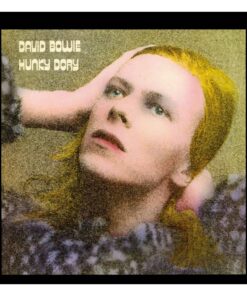 David Bowie Rock Saws Jigsaw Puzzle Hunky Dory (500 Pezzi) Phd Merchandise