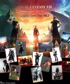 Final Fantasy VII Anniversary Art Museum Digital Card Plus Vol.2 Display (20) EN