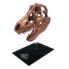 Jurassic Park Scaled Prop Replica T-Rex Skull 10 Cm Factory Entertainment