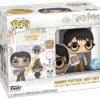 2024 Esclusiva Box - July - Harry Potter - Assembled Funko