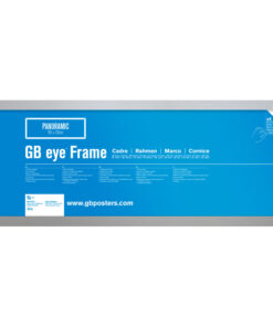 GBEYE - MDF Silver Frame - 33 x 95cm -