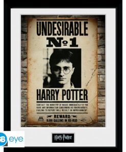 HARRY POTTER - Framed print "Undesirable No 1" (30x40)