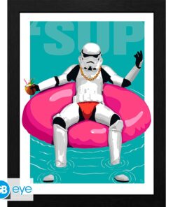 ORIGINAL STORMTROOPER - Framed print "Pool Boy" (30x40)