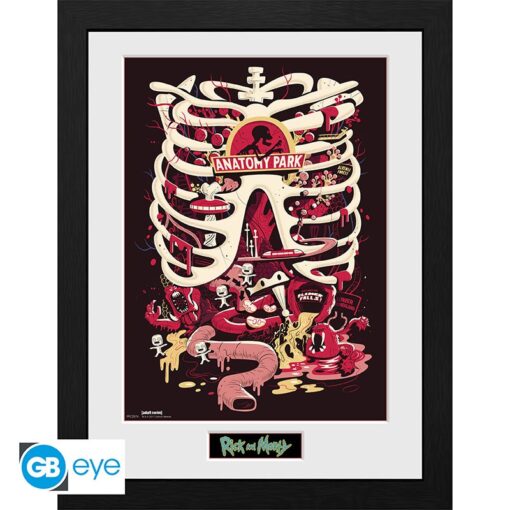 Rick E Morty - Framed Print "anatomy Park" (30x40)