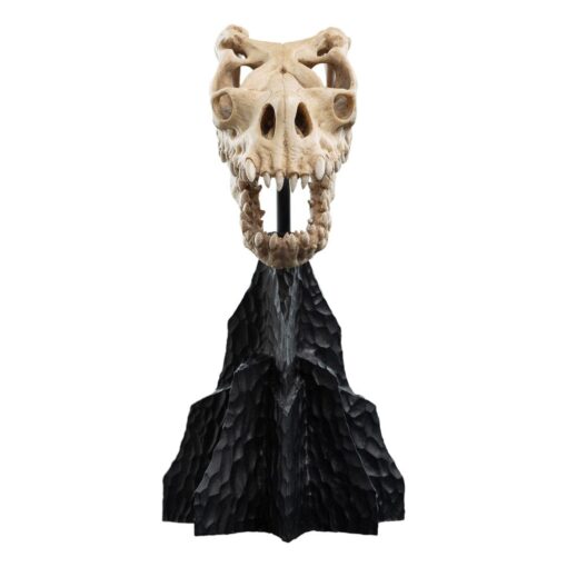 Il Signore Degli Anelli Mini Statua Skull Of A Fell Beast 21 Cm Weta Workshop