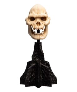 Il Signore Degli Anelli Mini Statua Skull Of Lurtz 14 Cm Weta Workshop