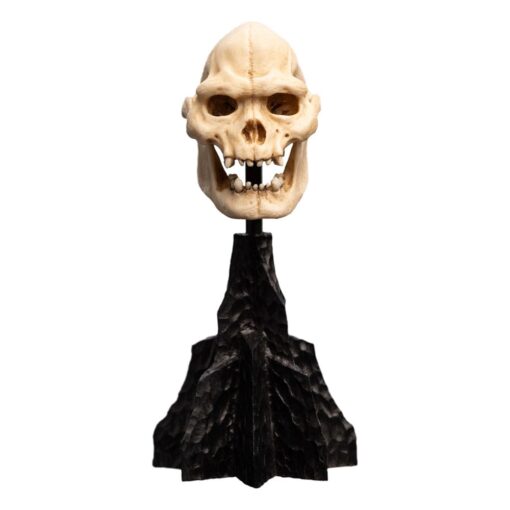 Il Signore Degli Anelli Mini Statua Skull Of Lurtz 14 Cm Weta Workshop