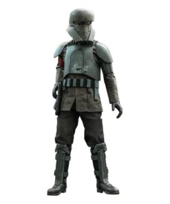 Star Wars The Mandalorian Action Figura 1/6 Transport Trooper 31 Cm Hot Toys