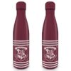 Harry Potter Drink Bottiglia Crest & Stripes Pyramid International