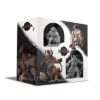 Black Rose Wars (ENG) Miniature Set Brute Force Gioco Da Tavolo 14+ Ludus Magnus