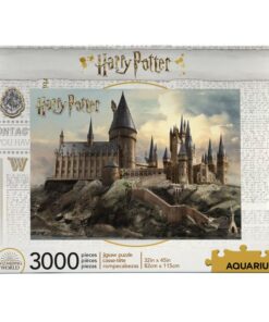 Harry Potter Hogwarts 3000  Pezzi Puzzle Puzzle Aquarius Ent