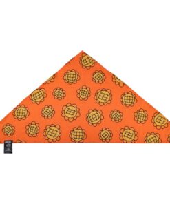 One Piece Bandana & Berry Coins Set Nami Cinereplicas