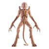 Pumpkinhead Action Figura Pumpkinhead 23 Cm Syndicate Collectibles
