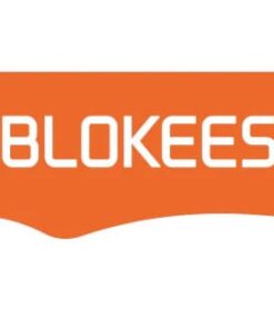 Transformers Blokees Plastica Model Kit Shining Version 02 Shining 1985  Blokees
