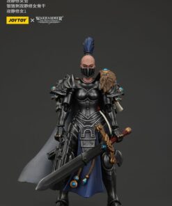 Warhammer The Horus Heresy Actionfigur Sisters Of Silence Argent Lynx Vigilator Cadre Vigilator 1 19 Cm Joy Toy (CN)