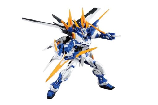 Gundam Master Grade MG Model Kit Astray Blue Frame D 1/100 Bandai