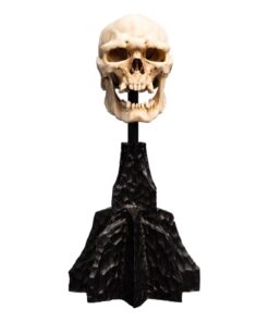 Il Signore Degli Anelli Mini Statua Skull Of A Mordor Orc 14 Cm Weta Workshop