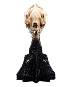 Il Signore Degli Anelli Mini Statua Skull Of A Warg 20 Cm Weta Workshop