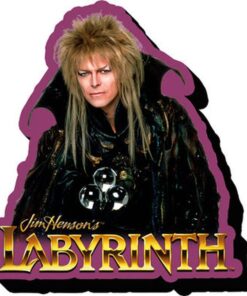 AQUARIUS ENT LABYRINTH JARETH MAGNET MAGNETI