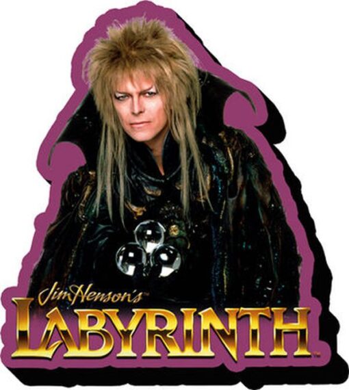 AQUARIUS ENT LABYRINTH JARETH MAGNET MAGNETI