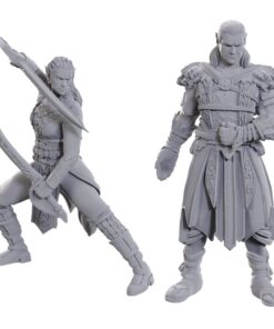 D&d Nolzur's Marvelous Miniatures Unpainted Miniature Jaheira & Halsin Wizbambino