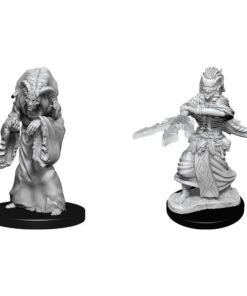 D&d Nolzur's Marvelous Miniatures Unpainted Miniatures Night Hag & Dusk Hag Case (6) Wizkids