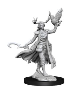 Dungeons & Dragons Frameworks Miniature Model Kit Human Druid Female Wizkids