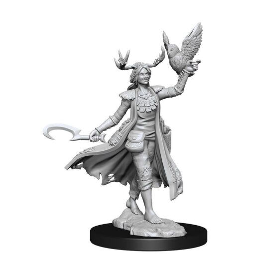 Dungeons & Dragons Frameworks Miniature Model Kit Human Druid Female Wizkids