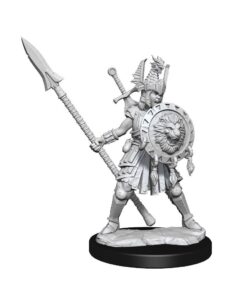 Dungeons & Dragons Frameworks Miniature Model Kit Human Fighter Female Wizkids