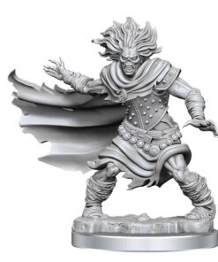 Dungeons & Dragons Frameworks Miniature Model Kit Wight Wizkids