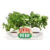 Friends Table Vase Central Perk Half Moon Bay