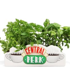 Friends Table Vase Central Perk Half Moon Bay