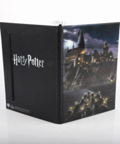 Harry Potter - 3d Agenda Hogwarts Castle