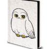 Harry Potter Agenda Premium A5 Edvige Soffice Pyramid International