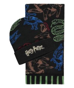 Harry Potter Berretto & Sciarpa Set Hogwarts Houses Colored Difuzed