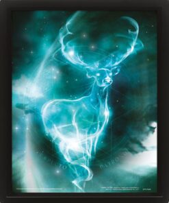 Harry Potter Framed 3D Effect Poster Pack Expecto Patronum 26 X 20 Cm (3) Pyramid International
