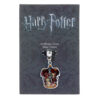 Harry Potter Grifondoro Crest Slider Ciondolo The Carat Shop