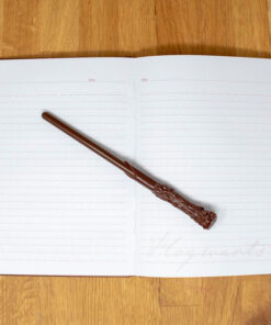 Harry Potter Hogwarts A5 Agenda Blue Sky Studios